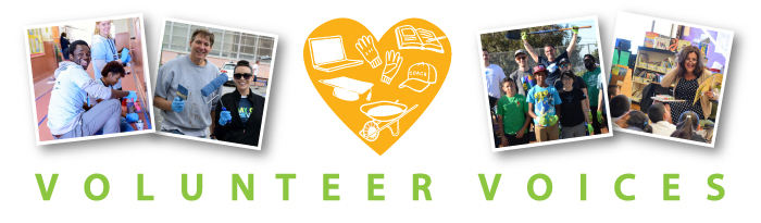 volunteervoices_header