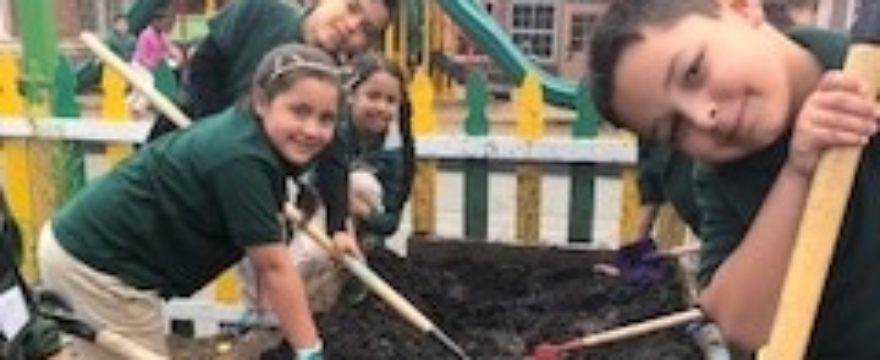 A to Z Fund in Action: Lodestar’s Community Garden