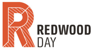 Redwood day