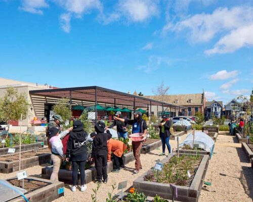 The Center Garden Space at OUSD